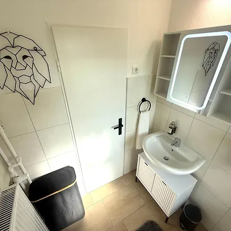 Lion Fuemmelse